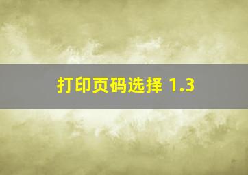 打印页码选择 1.3